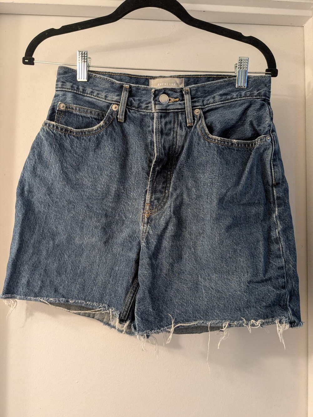 Everlane | Way Hugh Jean Shorts